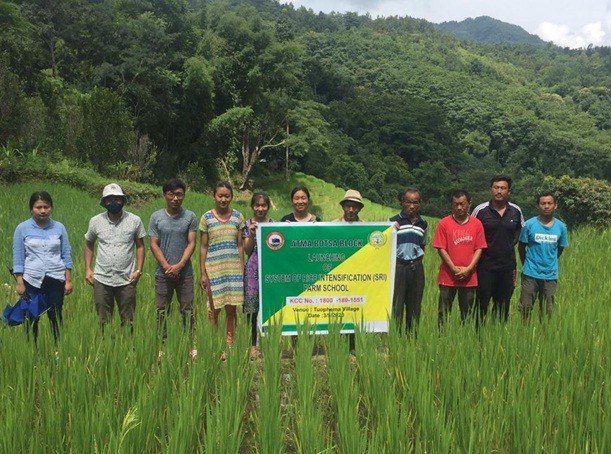 ATMA Botsa Block officials with participants at a newly launched SRI Farm School at Tuophema village on September 3. (Photo Courtesy: ATMA Kohima Botsa Block) 